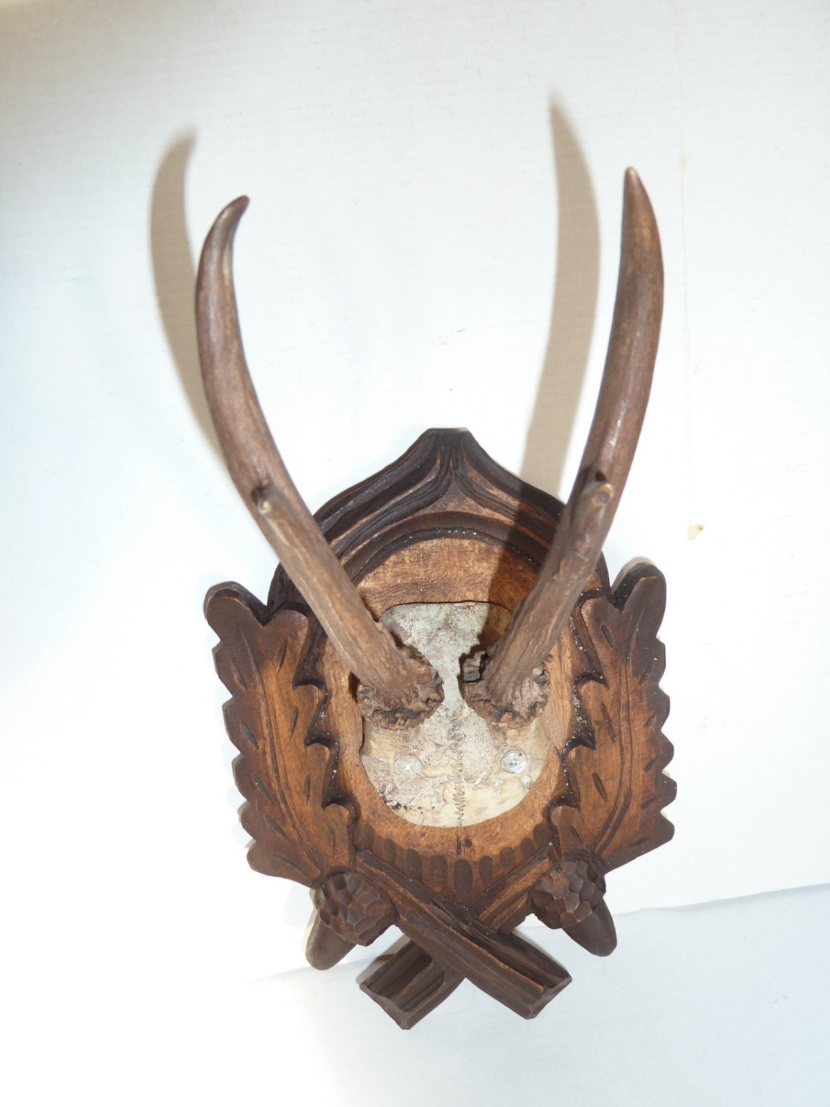 PAIR BLACK FOREST CARVED ROE DEER ANTLERS MOUNTS