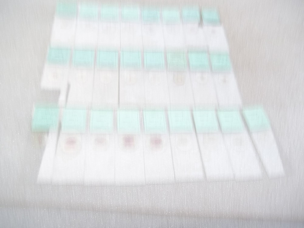 Vintage Glass Microscope Slides -