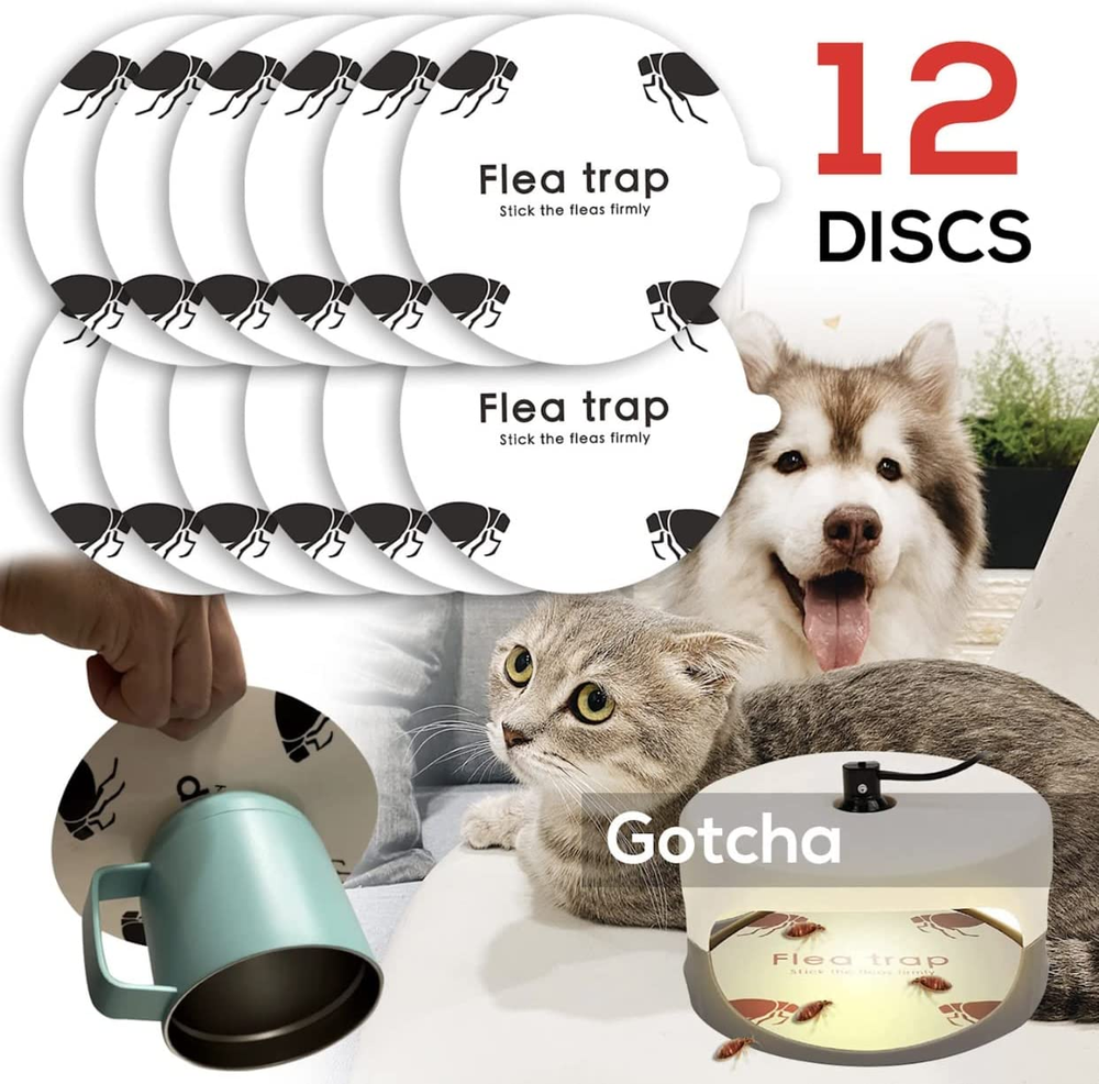 20 Pack Flea Trap Refill Discs | Sticky Traps Glue Board Refills | Non-Toxic | 7