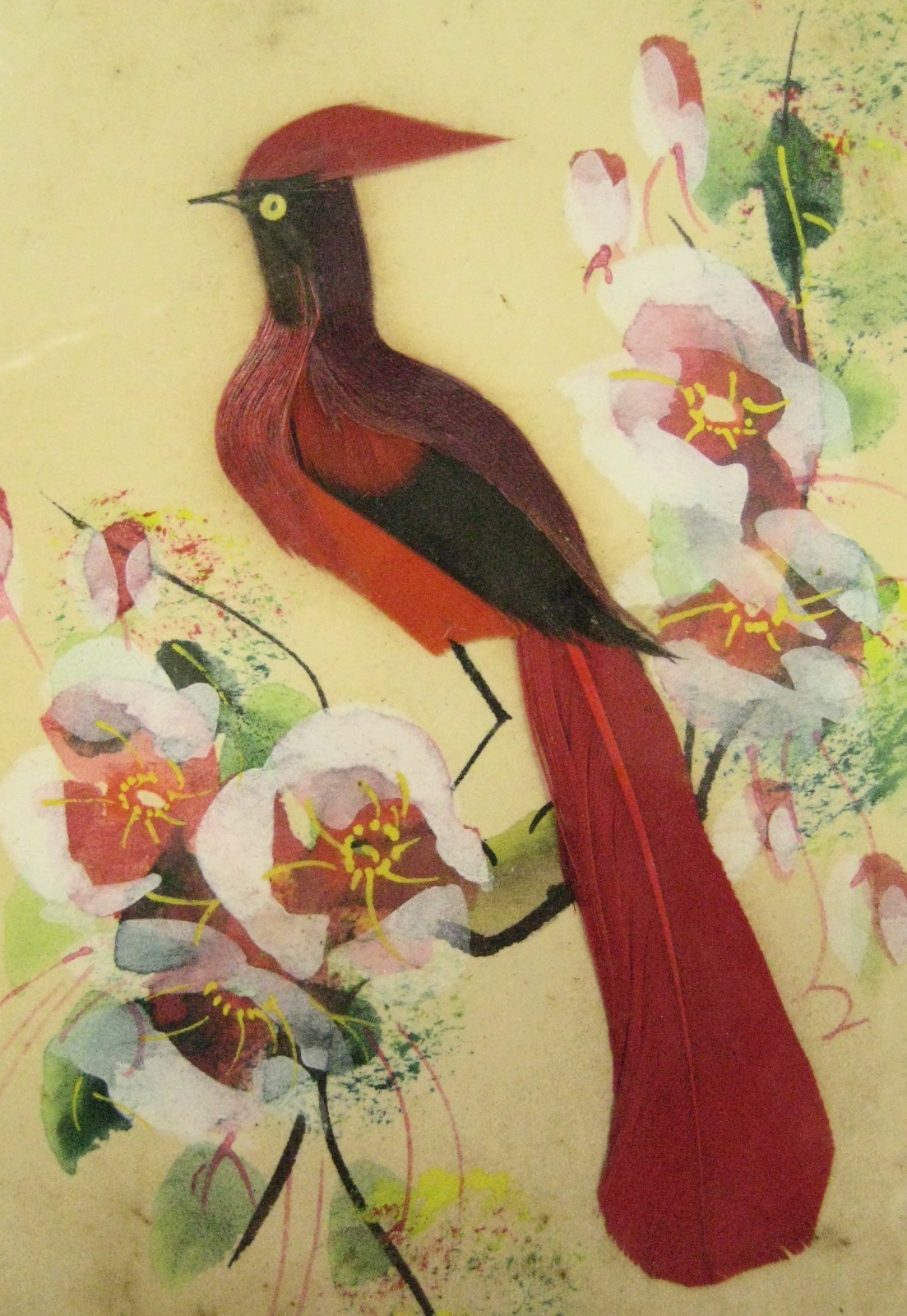 Lot of 5 Feather Art Bird Small Pictures Glen Bastion 1890-1966 Indiana Artist