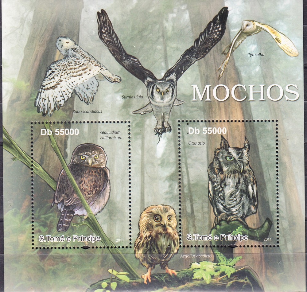 W SAINT-THOMAS 2420 OWLS