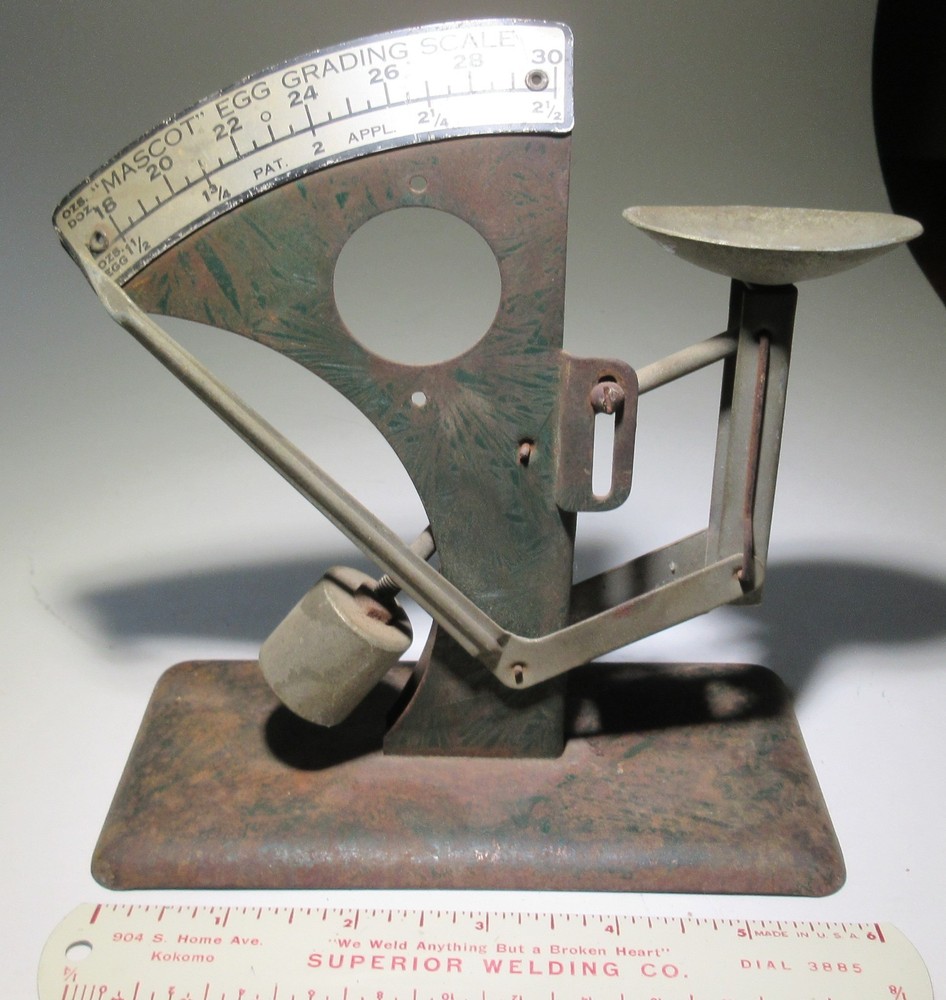 Vintage egg scale Mascot