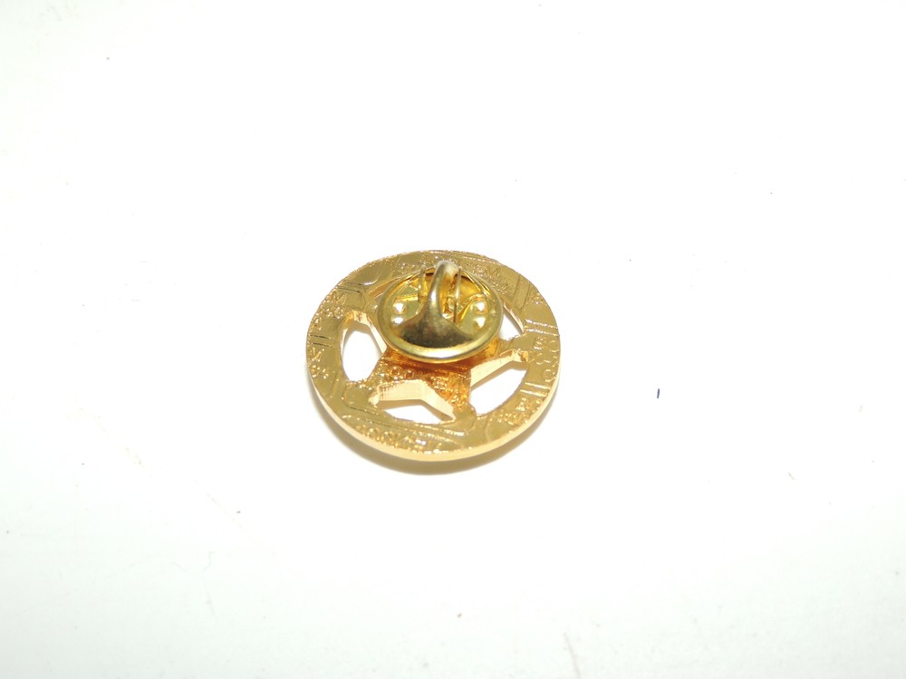 United States Marshal Pin