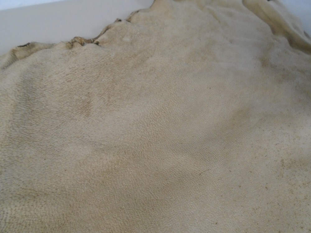 Suede Sheep Leather # 0018358 Row WW