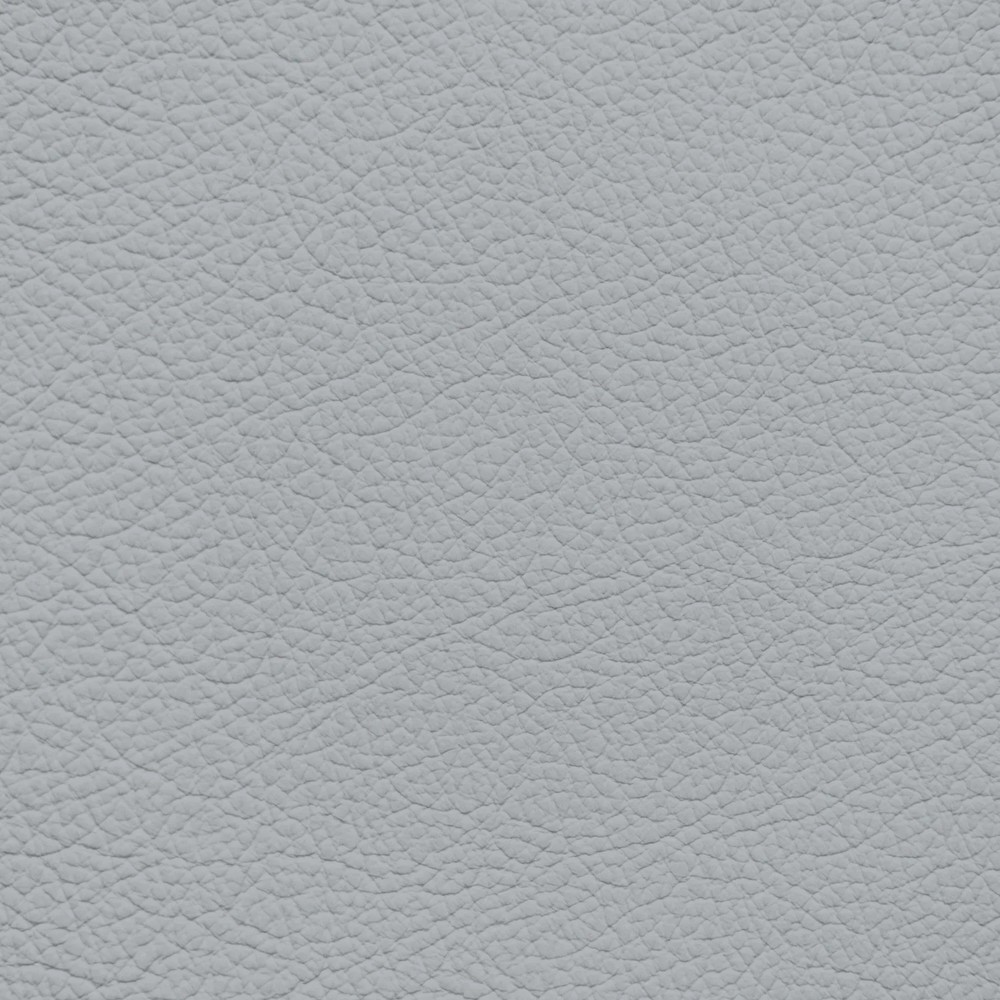 Jaguar Light Cloud Leather Dye