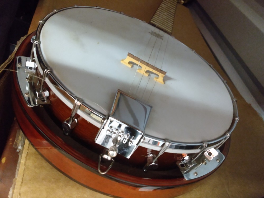 Banjo Danville Remo 5 Strings