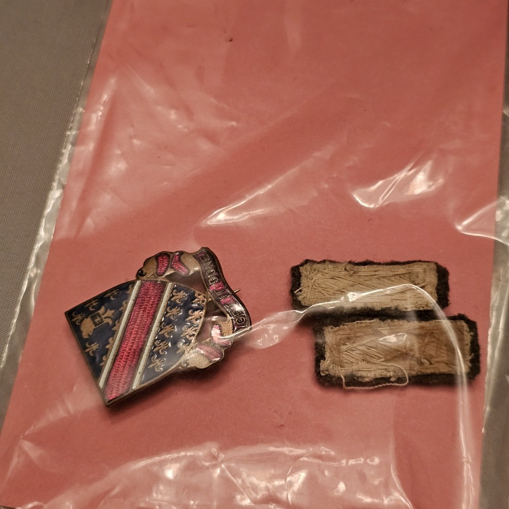 WW2 US Army 110th Engineer Pin Unit Crest Get It Done with Two Adddition Pieces