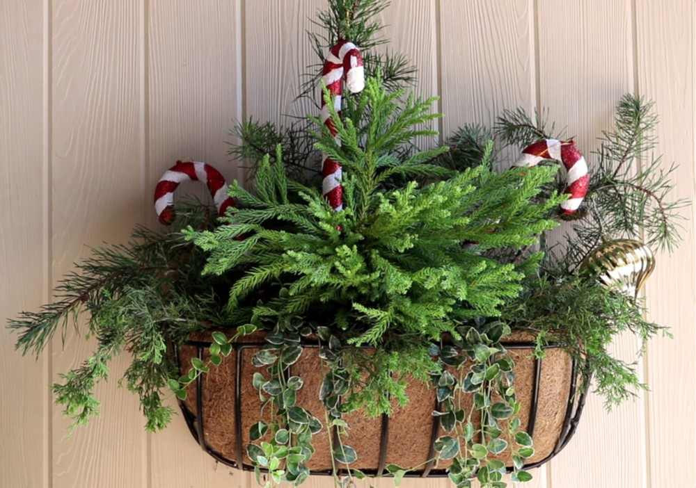 Garden Artisans 24 in Window Hayrack with Molded Coco Liner