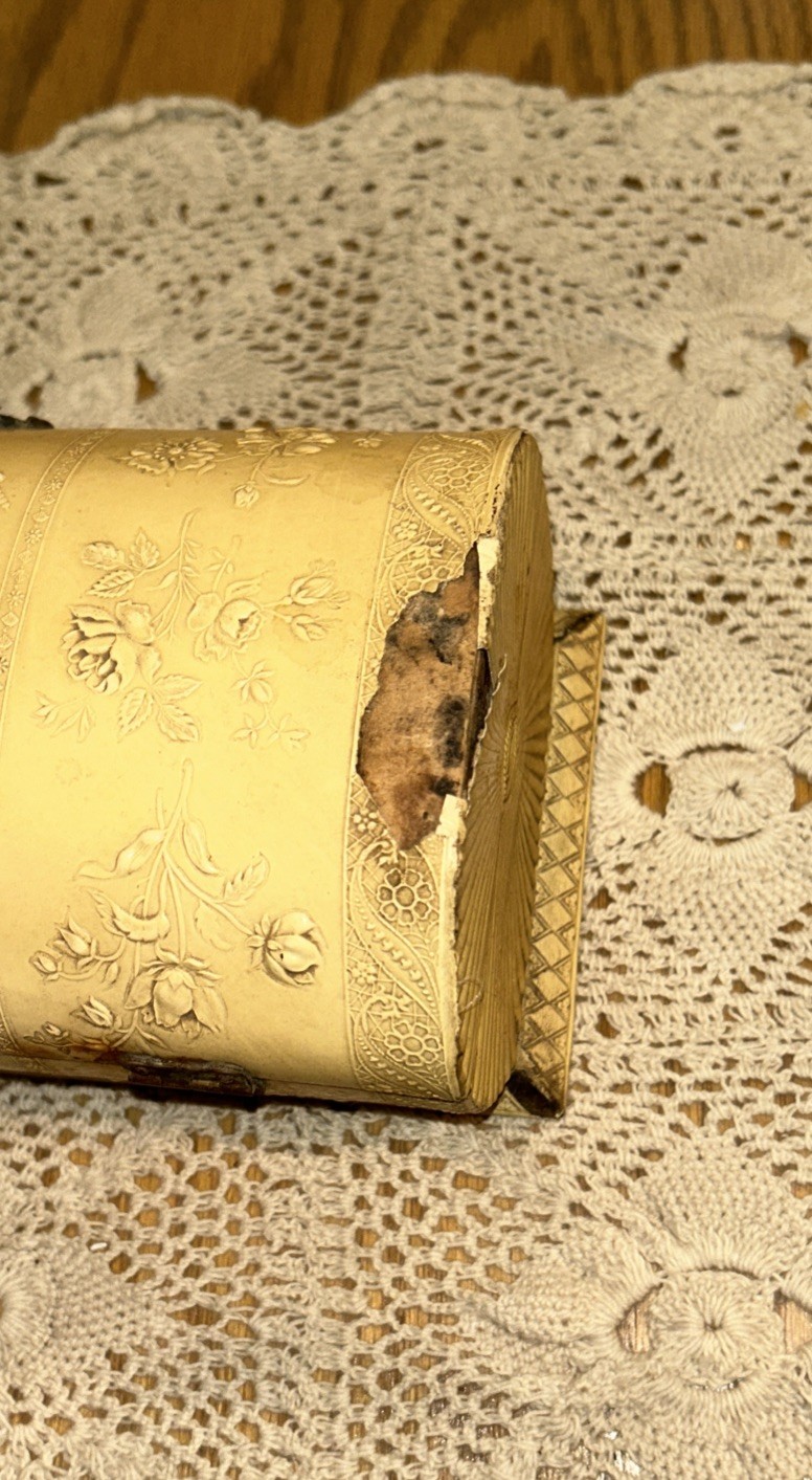 Antique Jewelry Box Engraved Angel Celluloid Wrapped Wood 9x 3.75 Oval Quite Old