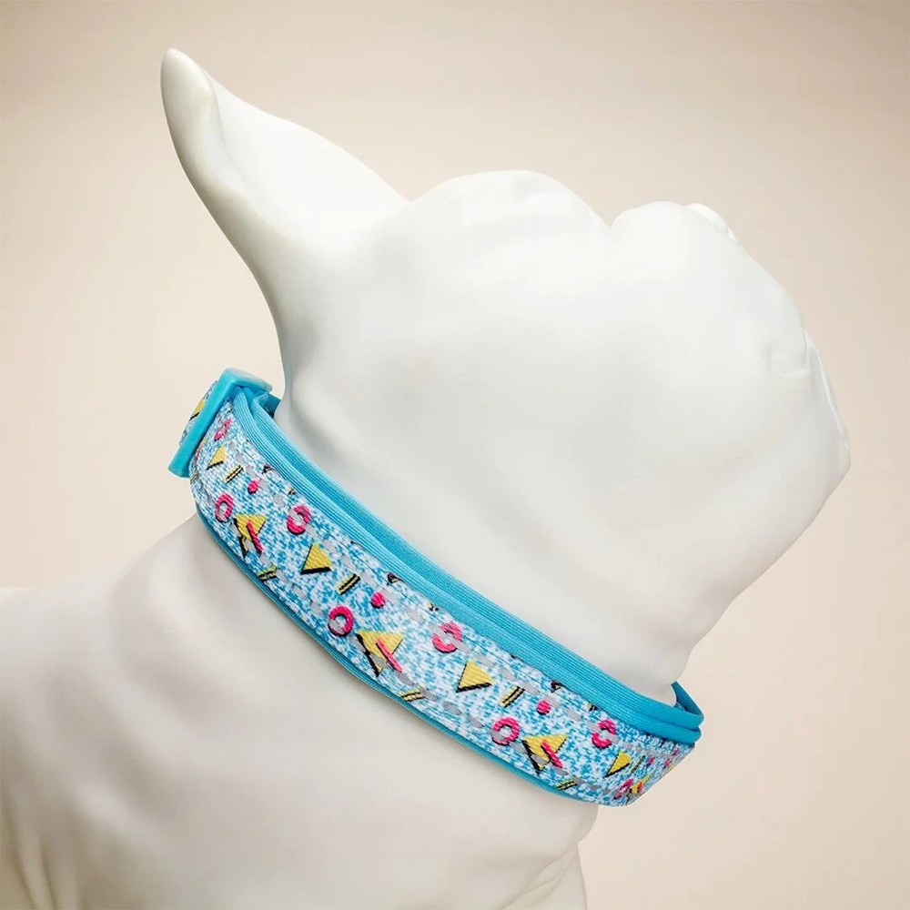 Bayside Collar + Leash Set