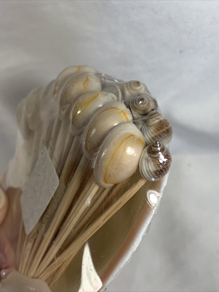 Hilo Hatttie Shell Tooth Picks