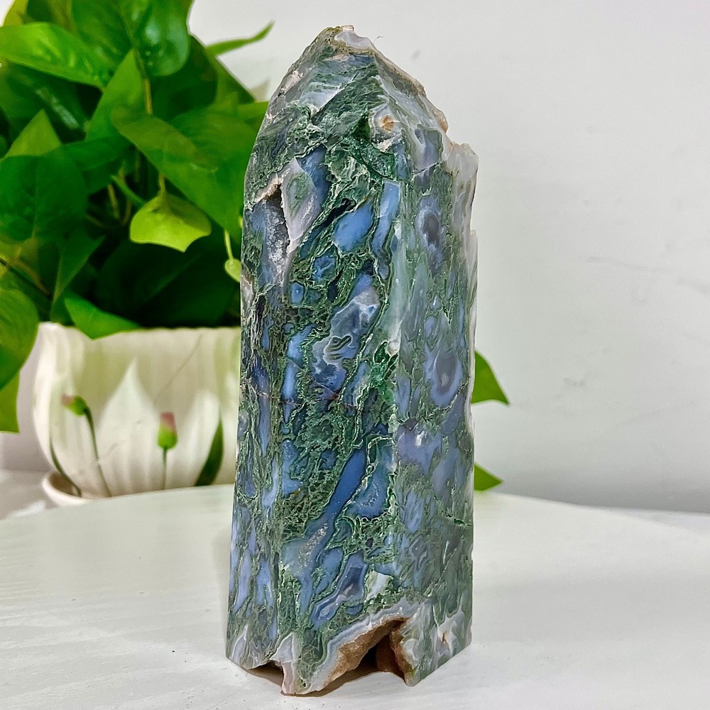 2.91LB High quality aquatic plant agate pointed column