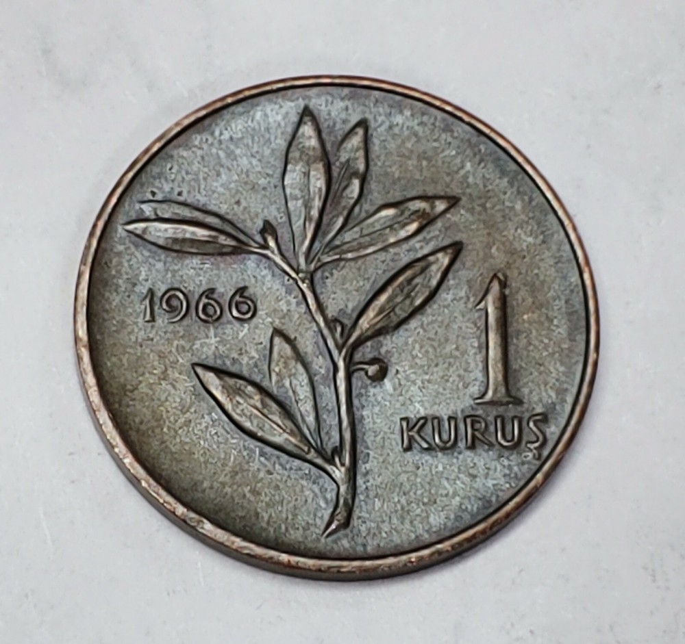 Turkey, 1966  1 Kurus Coin