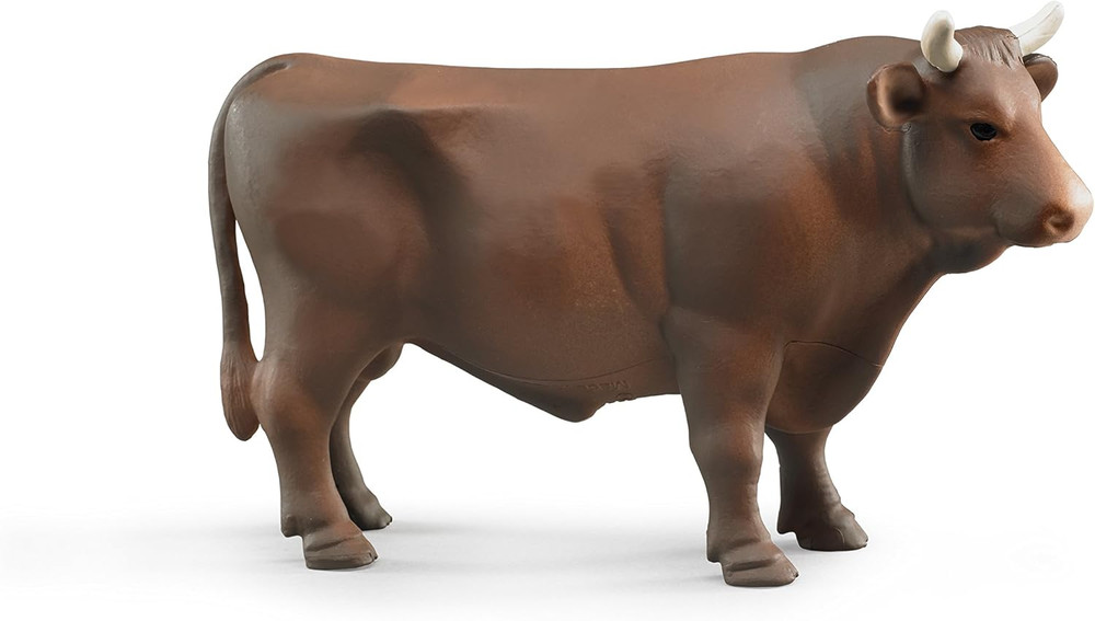 Bull Bull