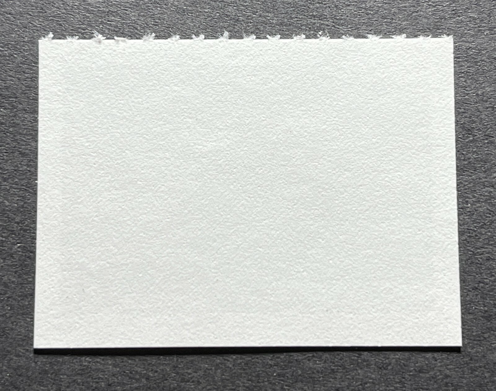 WTDstamps - 1998 SOUTH DAKOTA Dakota - State Duck Stamps - Mint OG NH