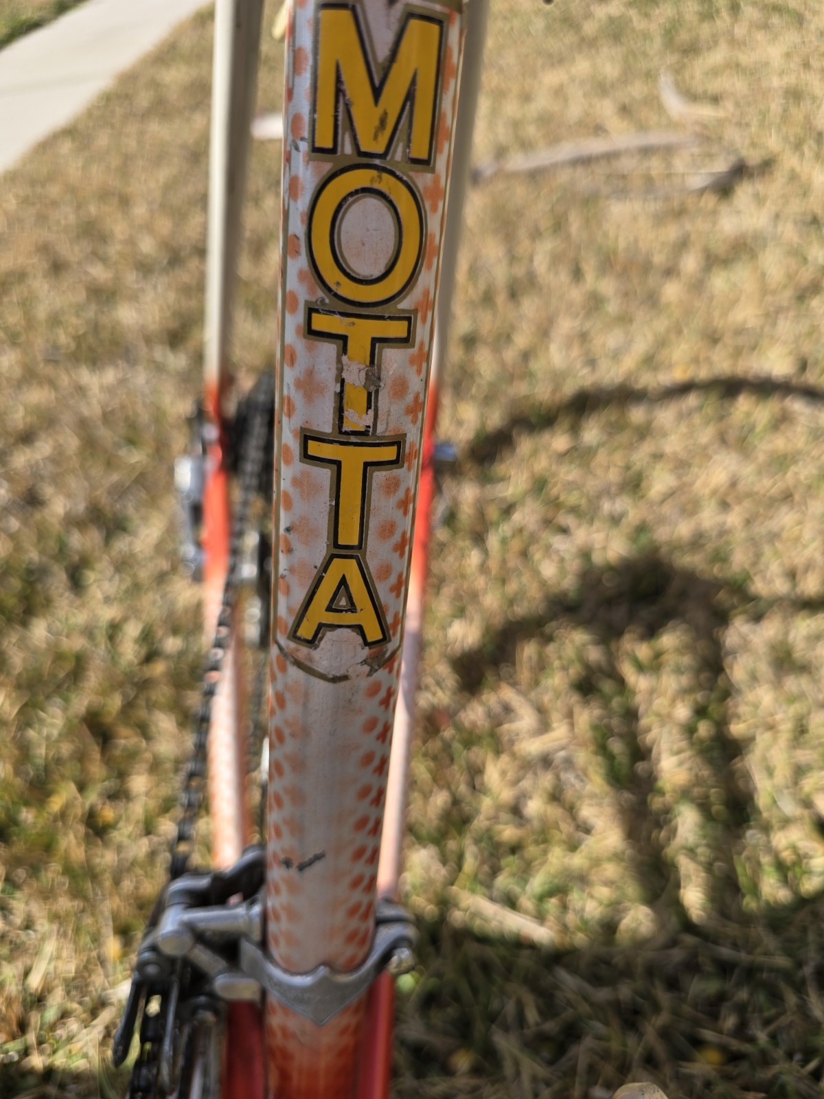 Gianni Motta Bike with Campagnolo Parts 53cm