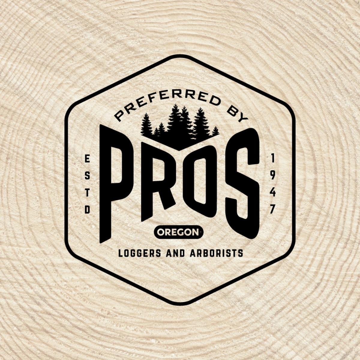 Oregon CS325 16" SpeedCut Nano 40V Cordless Chainsaw w/ Battery & Charger 627994