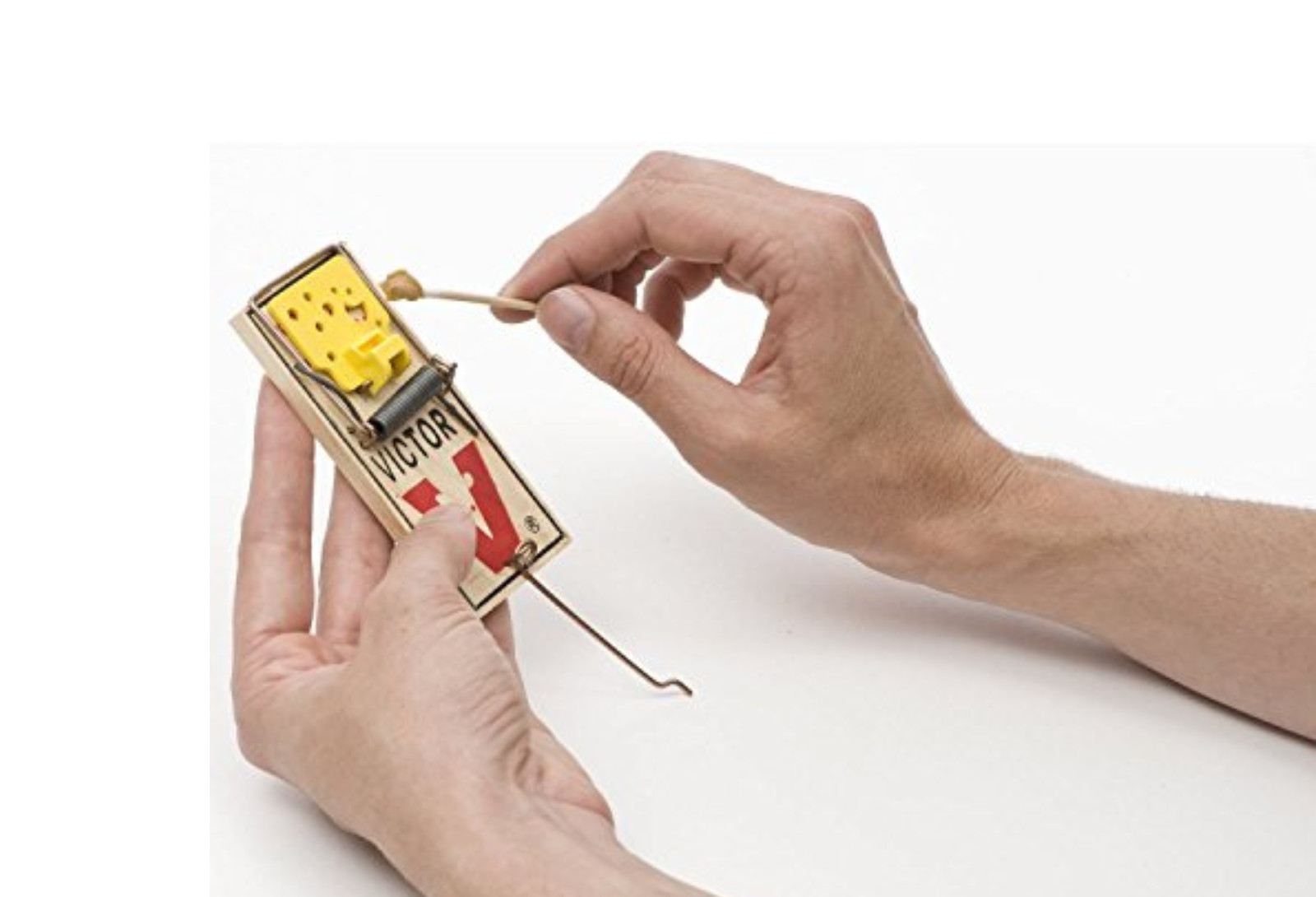 Mouse Trap - ( 4 Count )