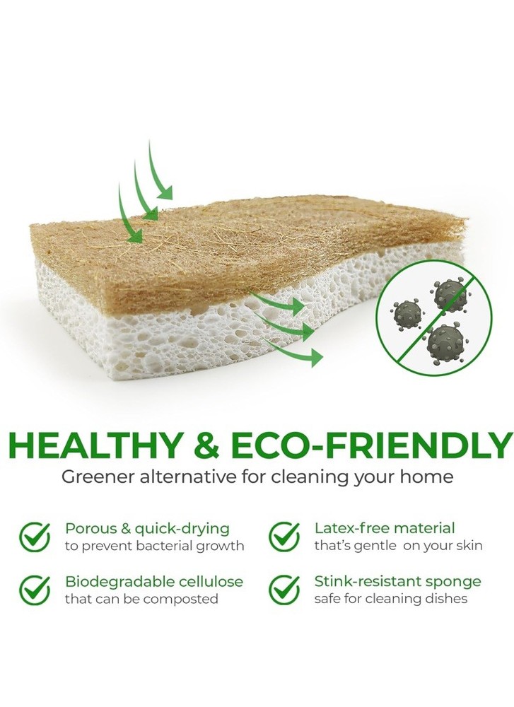 AIRNEX Natural Kitchen Sponge - Biodegradable Compostable 12 pack