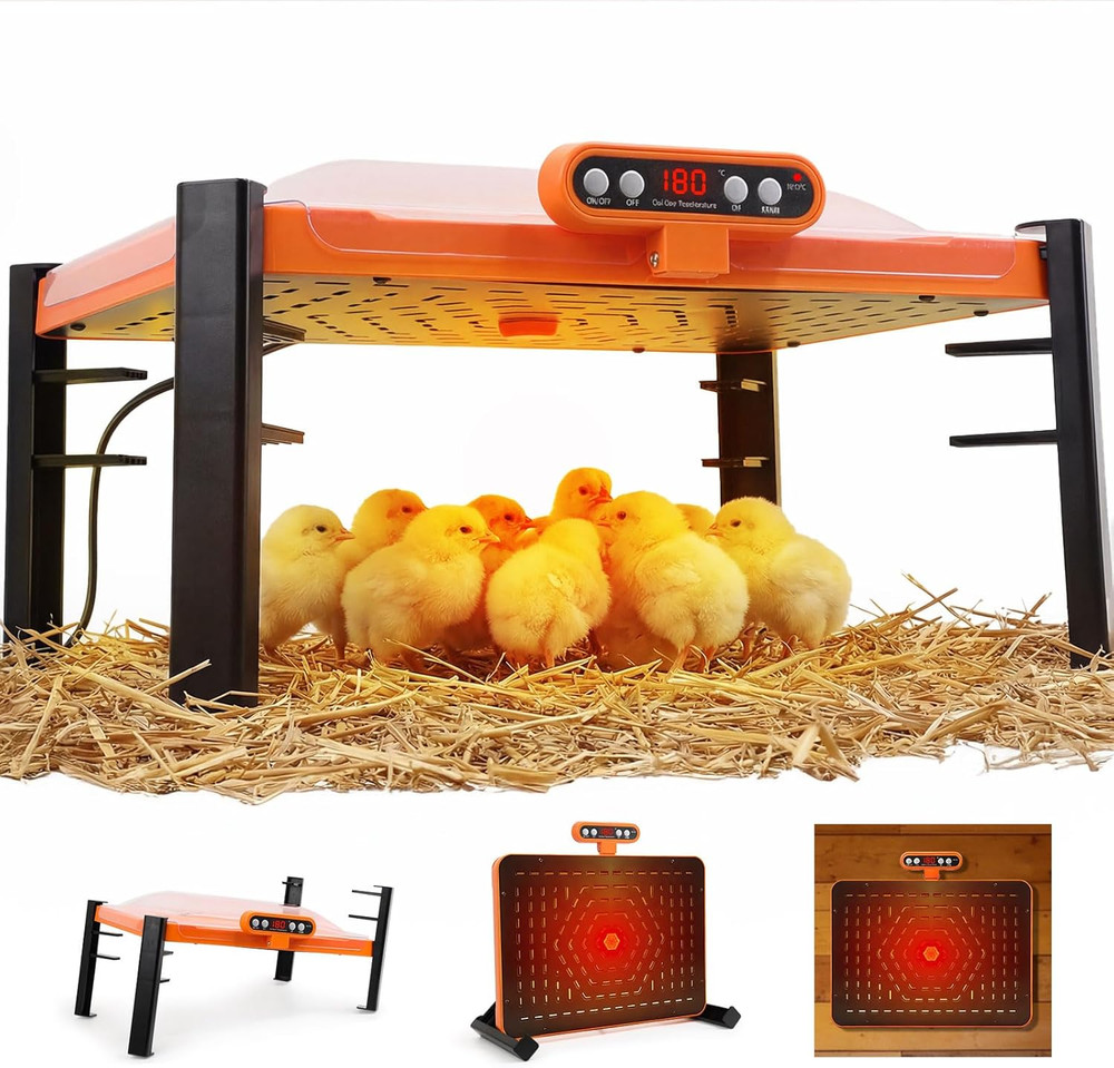 Smart Brooder Plate with Temperature Display & Adjustable Height, 11 X 15 Inch C