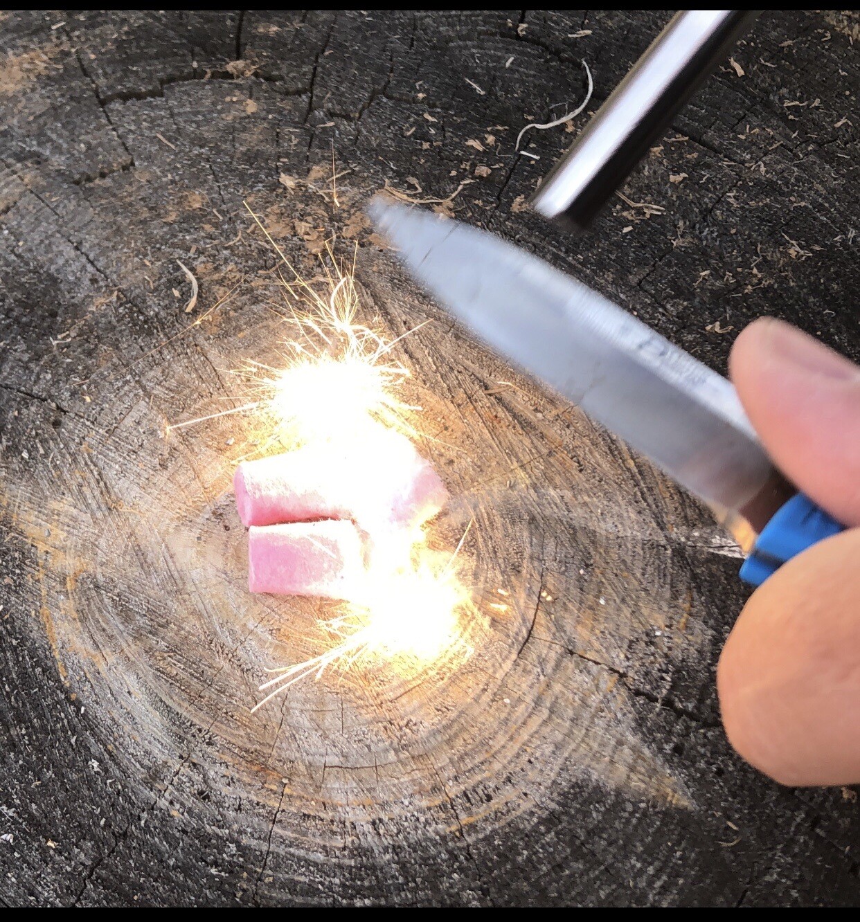 Fire Starters 50 Pack￼, Wind/Waterproof, Fire Starting Tinder, Veteran Owned,USA