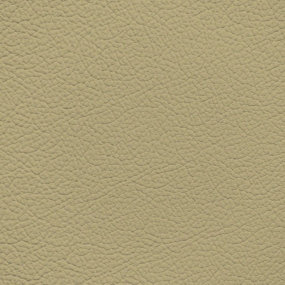 Genesis Light Ivory Leather Dye