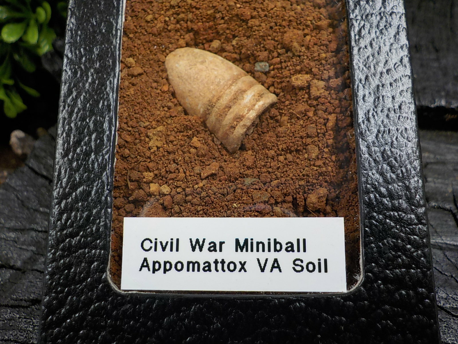 Old Rare Vintage Civil War Miniball in Appomattox Virginia Confederate Camp Soil