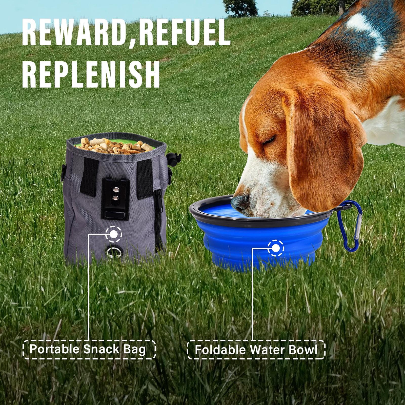 Outdoor 5 PCs Dog Pet Agility Training Equipment Backyard Starter Course Set