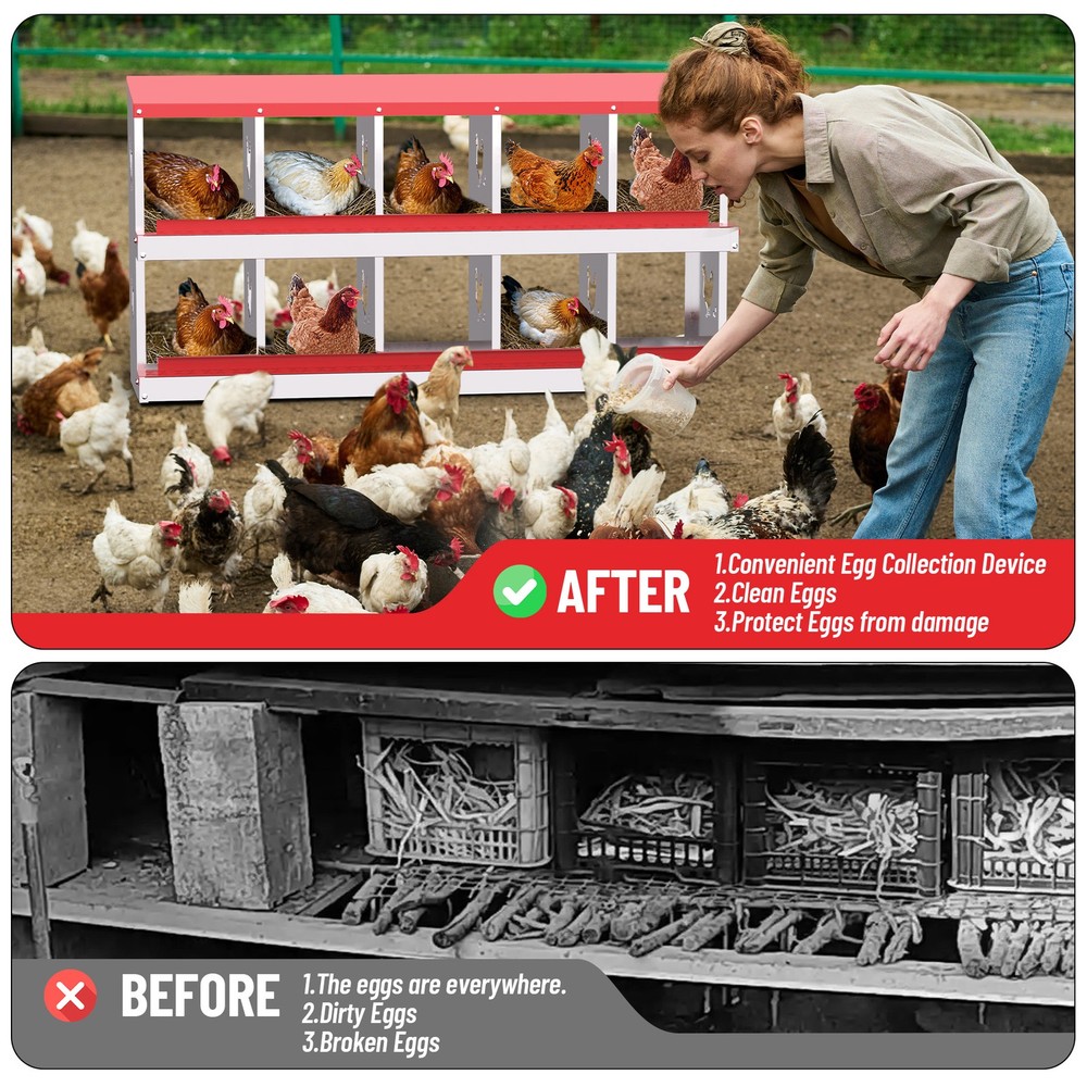 10 Holes Chicken Nesting Box, Metal Chicken Nesting Boxes, without Bracket Legs