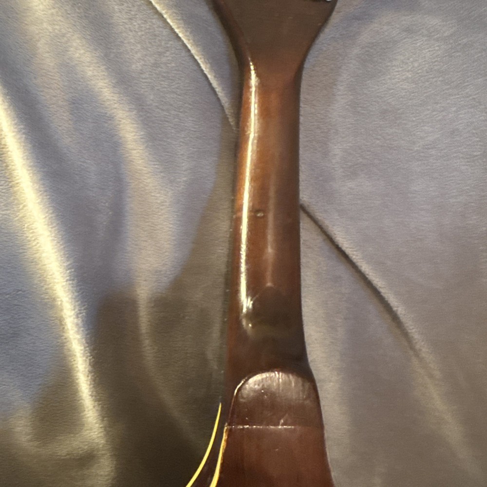 60’s70’s Norma Electric Mandolin