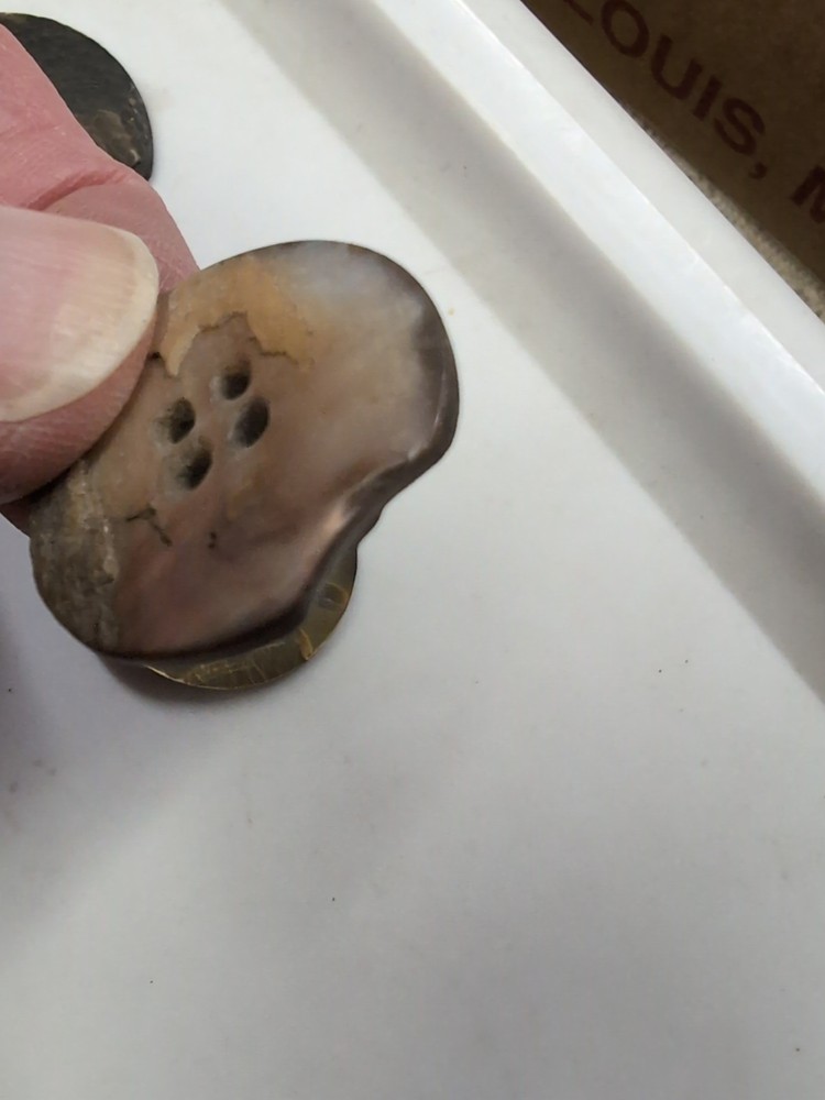 (10) Ablone Shell Buttons