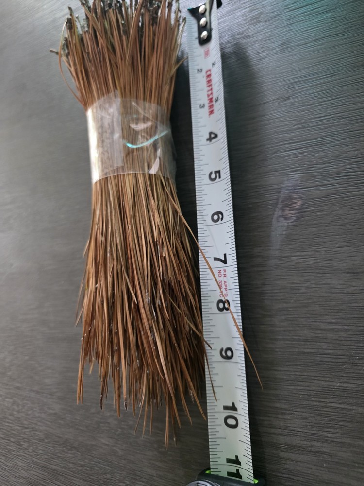 Loblolly Pine Leaf Pine Needles 9" for Basket Making Basketry 4oz per Bundle