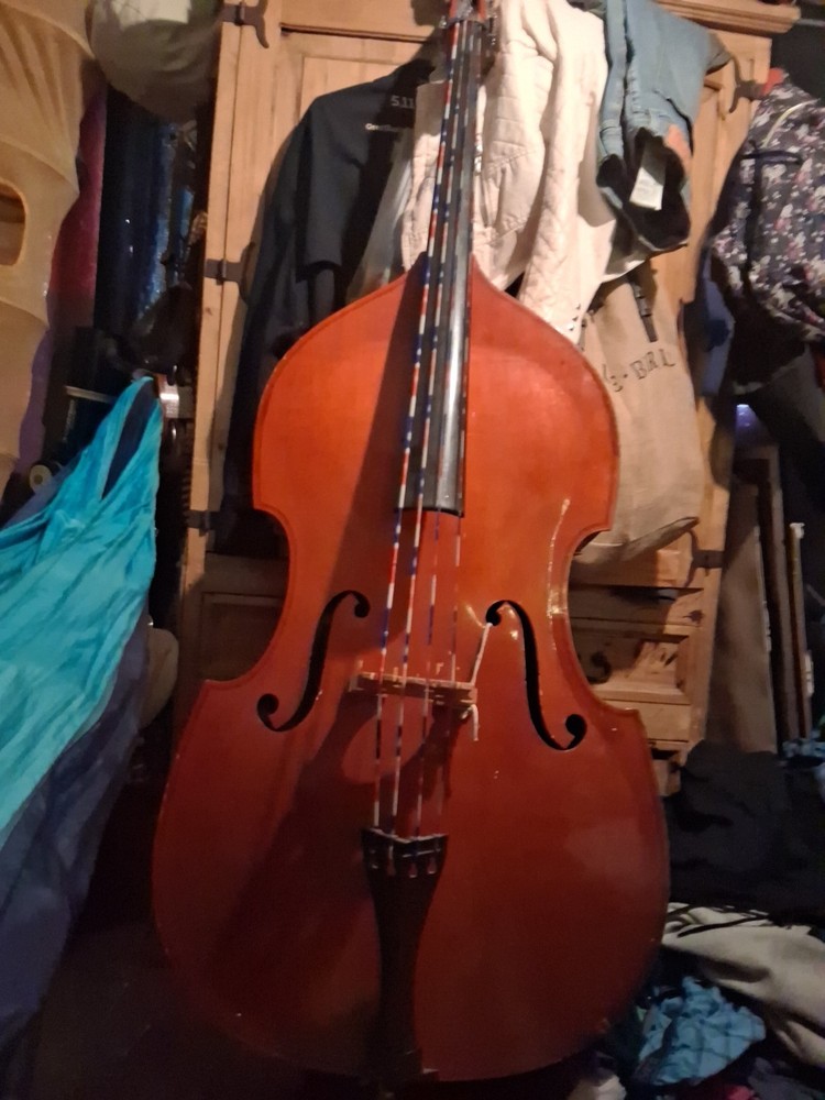 Bass Cello