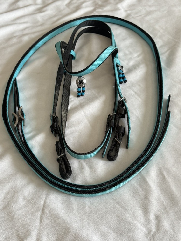 western headstall with matching reins-brand new