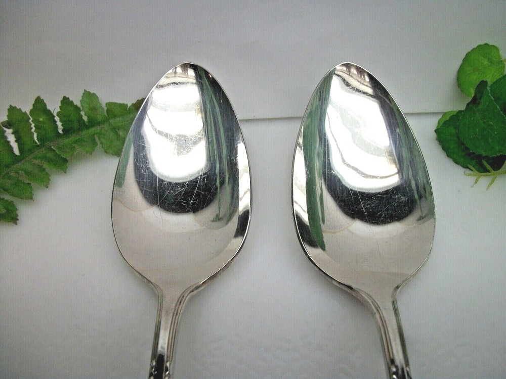 Oneida Ltd 1881 Rogers Brookwood BANBURY Silverplate Solid Serving Spoons 1950