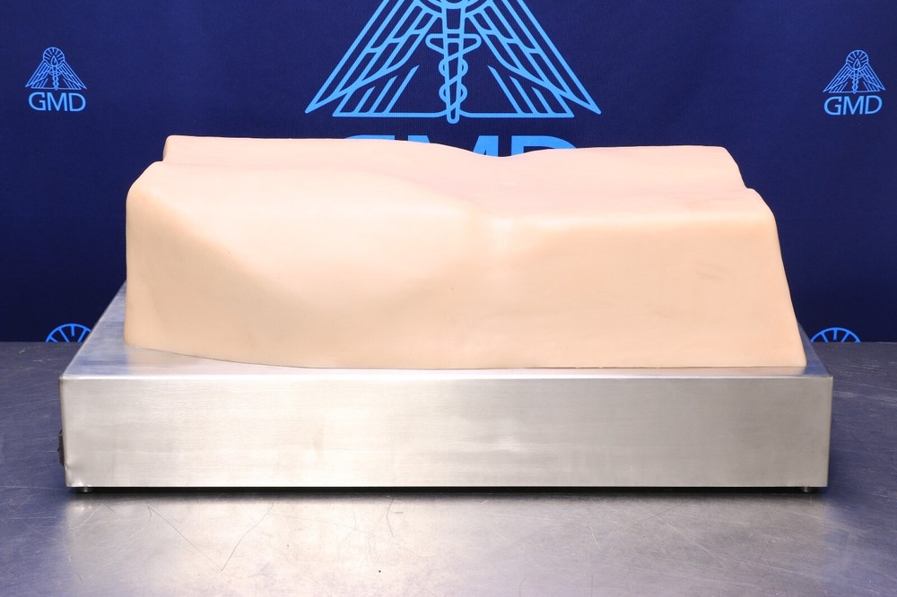 ACDET AbSim Model PT Abdominal Palpation Training Simulator