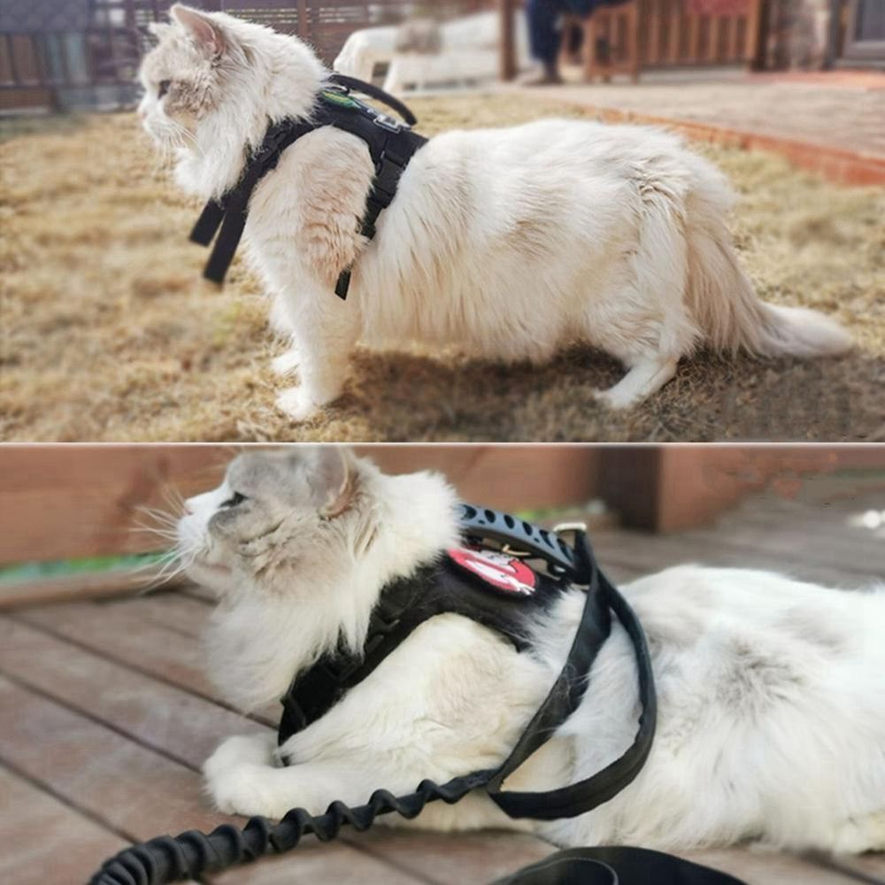 Nylon Tactical Cat Harness Cloth for Walking Escape Proof Soft Mesh Adjustable.