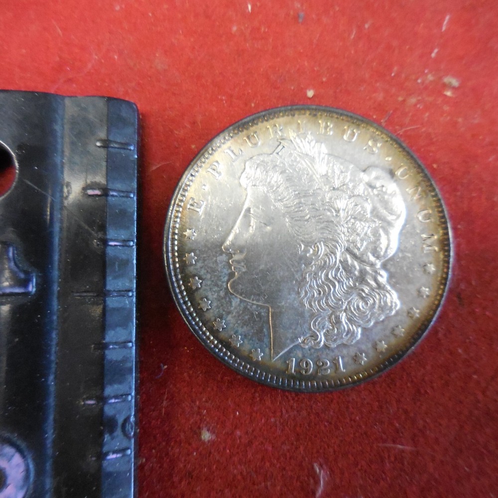 1921  Morgan  Silver Dollar - Toning