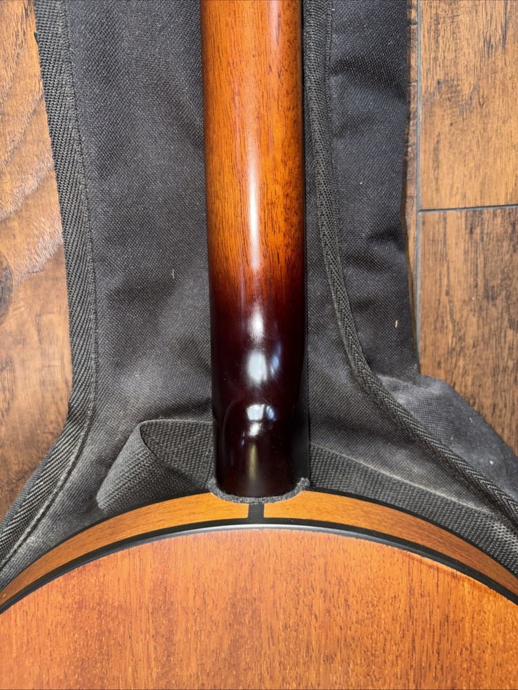 Fender 5 String Banjo & Bag Used