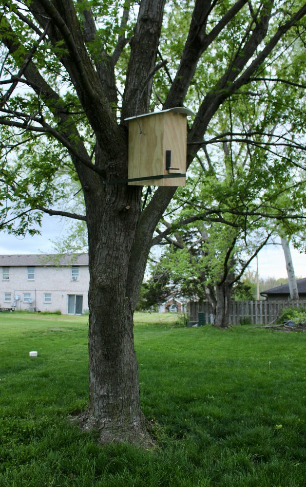 HONEYBEE SWARM TRAP- BEE HIVE- "THE BEE'S KNEEDS"