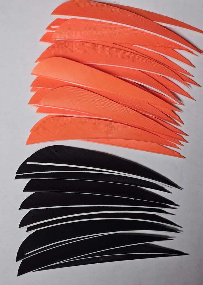 4" RW PARABOLIC  FEATHERS 12 BLACK AND 24 ORANGE