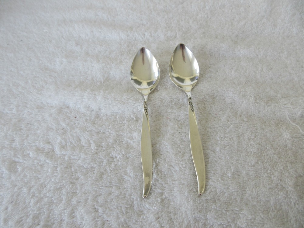 VINTAGE~Oneida Community Silverplate~ [ FLORAL PATTERN ]~ 6" Fruit Spoons~CLEAN!