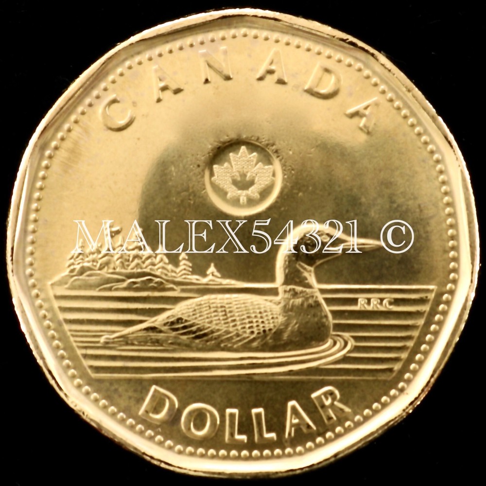 🇨🇦​ CANADA 2025 DOLLAR UNCIRCULATED FROM MINT ROLL