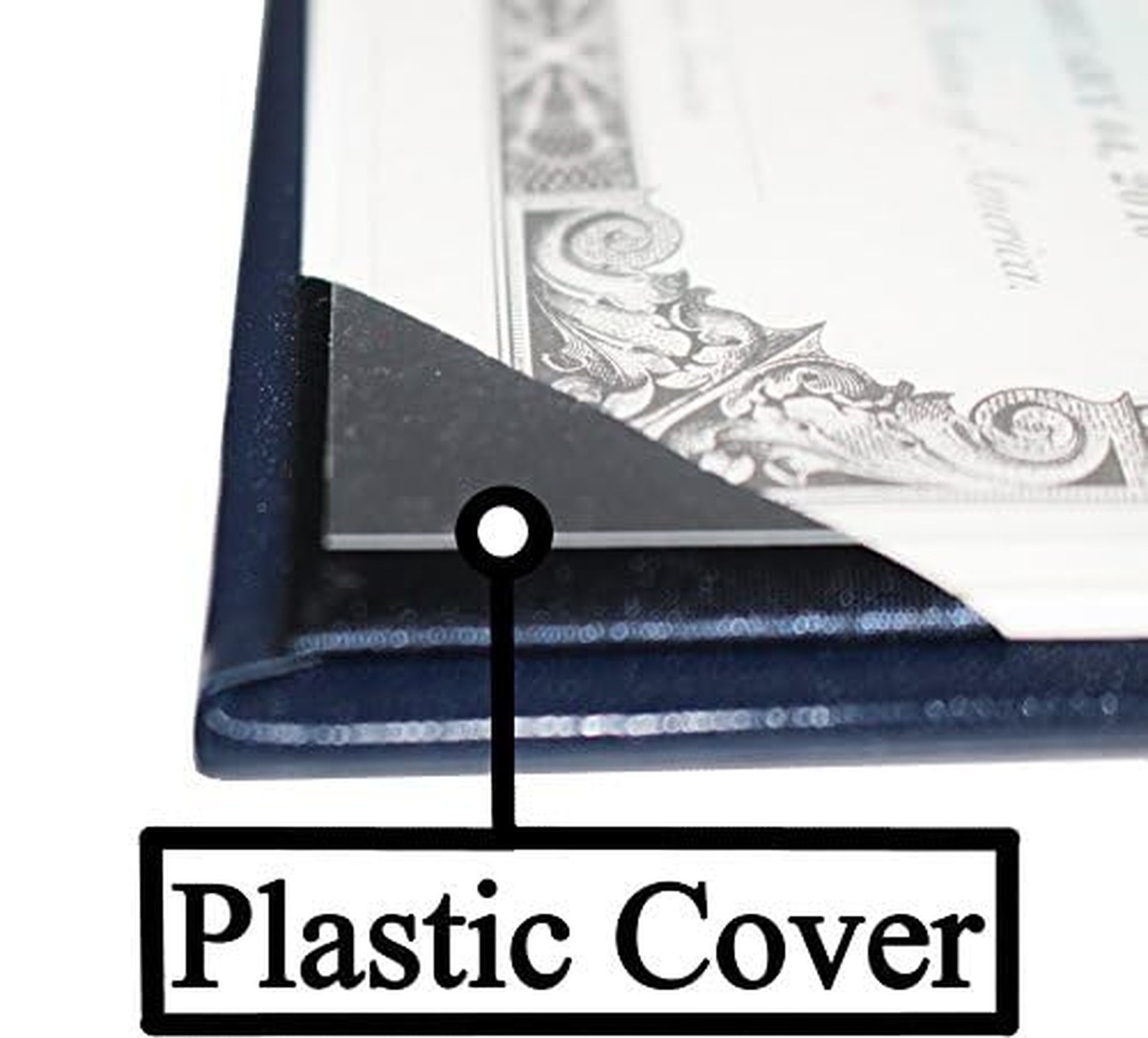 U.S. Citizenship and Naturalization Certificate Holder. Gold American Eagle l...