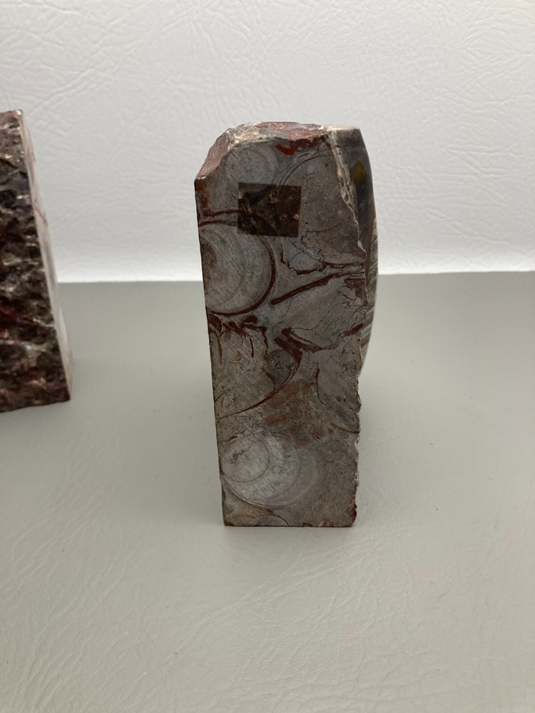 Fossil Orthoceras Bookends