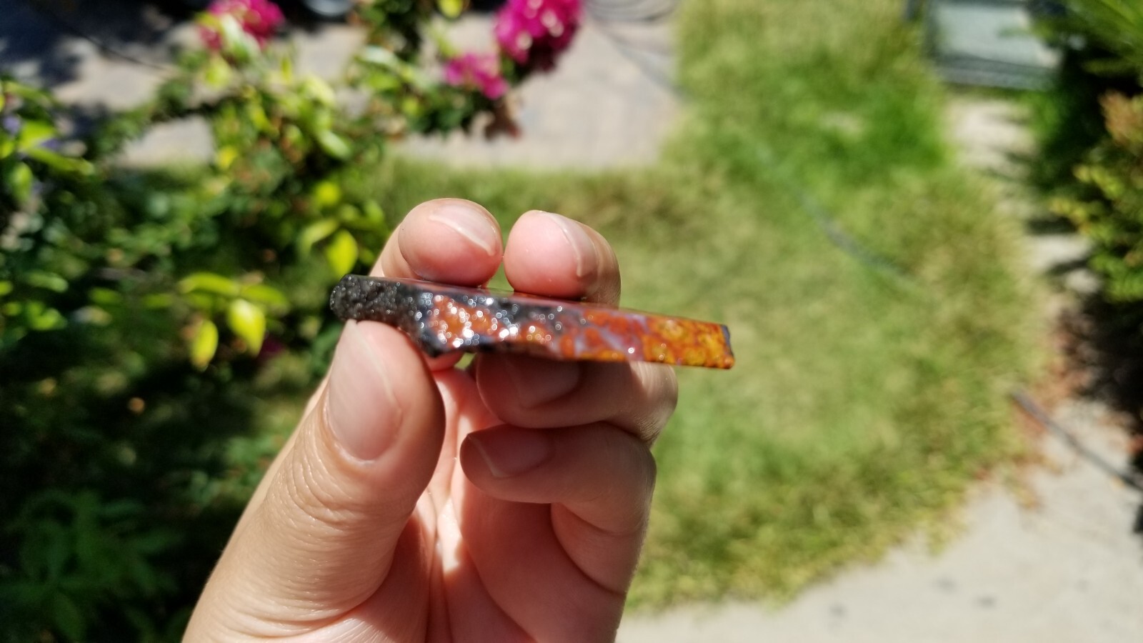 Wingate PASS PLUME AGATE Slab