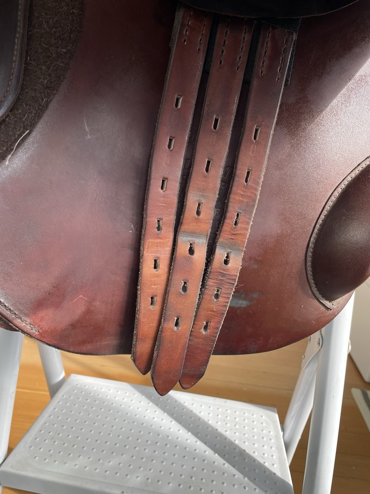 English Saddle - County Solution - 17 M SR - 2017 - Forward Flap - Jumper