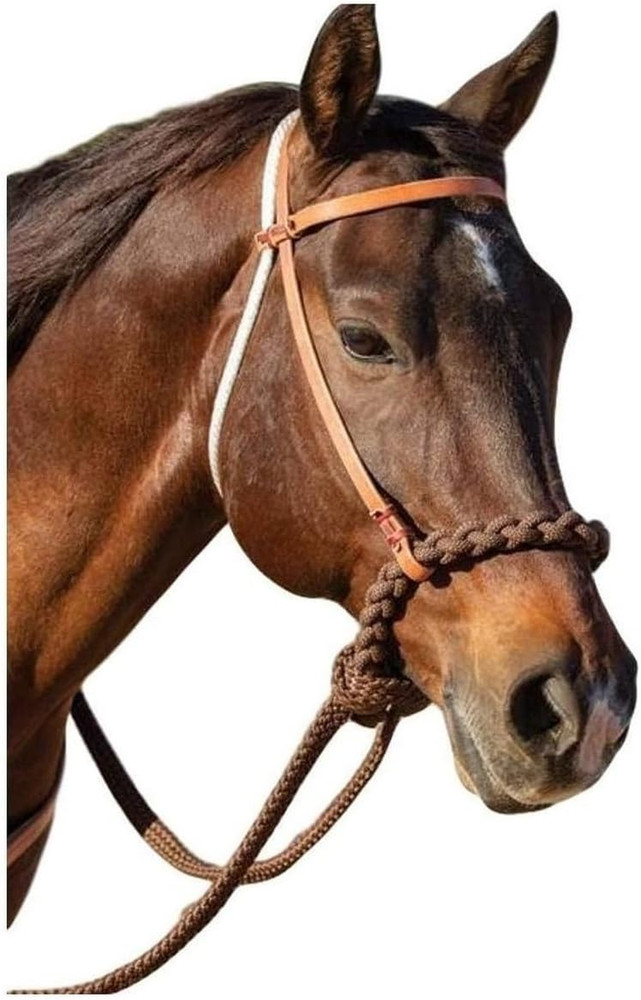 Loping Hackamore, Color: Oak (8168HL)