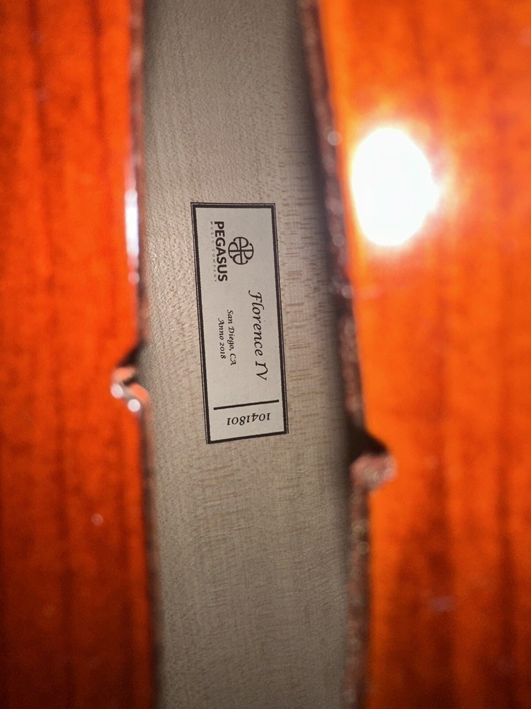 Cello 4/4 Florence IV, with Bow, Case, And Strap (C String Loose)