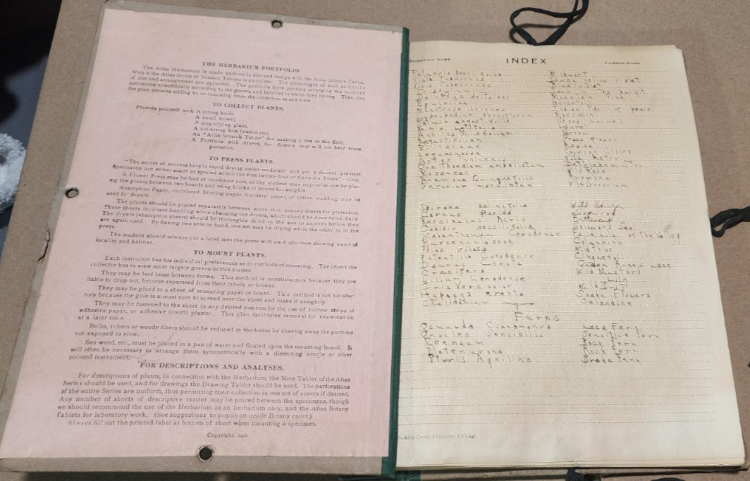 1900 Antique ATLAS HERBARIUM PLANT SPECIMINS Beckley Cardy Co. Completed 1929